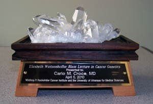 This token of appreciation featuring an Arkansas crystal is presented to each Blass Lecture guest speaker. The wooden base is handcrafted by Robert McGehee Jr., Ph.D., dean of the UAMS graduate school, who also selects the crystal.