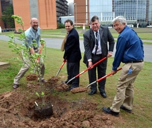 Planting a tree at UAMS for Earth Day are (from left) Robert Airo, Jonathan Flannery, Mark Kenneday, all from UAMS, and John Slater of the Arkansas Forestry Commission.