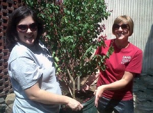 Four crape myrtles and a maple were among the trees planted in the Josh Neal Memorial Garden.