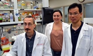 Charles O’Brien, Ph.D., (left) and graduate students Melda Onal and Jinhu Xiong.