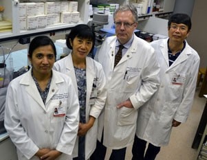 Lead author Martin Hauer-Jensen, M.D., Ph.D., (second from right) and co-author Daohong Zhou, M.D., (far right) led a study that made a breakthrough in protection against potentially deadly radiation exposure. UAMS researchers also included Snehalata Pawar, Ph.D., (left) and