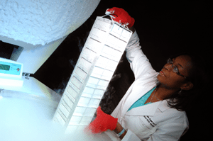 Remelle Eggerson, project manager for the UAMS Tissue Procurement Facility, pulls a rack of cancer tissue samples from a liquid nitrogen vapor phase freezer. 