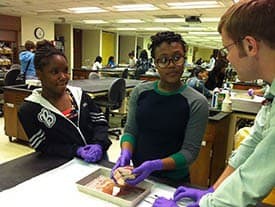 CDA health professions camp heart disection