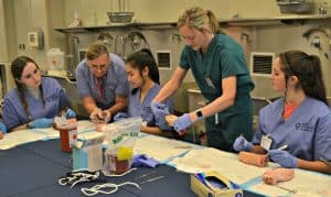 Ruth Thomas, M.D. (second from left), professor of orthopaedic surgery and director of the UAMS Center for Foot and Ankle Surgery and Theresa Wyrick, M.D. (second from right), an associate professor of orthopaedic surgery, demonstrate suturing techniques.