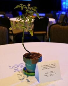 Centerpieces in hand-painted pots at the Gathering for Pacific Islander Health.
