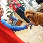 Superman shakes hands with Scully, a member of the Special Pets Offering Therapy (SPOT) program, during the sixth annual NICU Reunion on May 13.