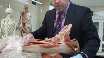 John Jefferson, Ph.D., P.T., chair and associate professor of the Department of Physical Therapy (PT) in the College of Health Professions, shows how a plasticized cadaver allows students to see in 3D what they see in 2D in their anatomy textbook.