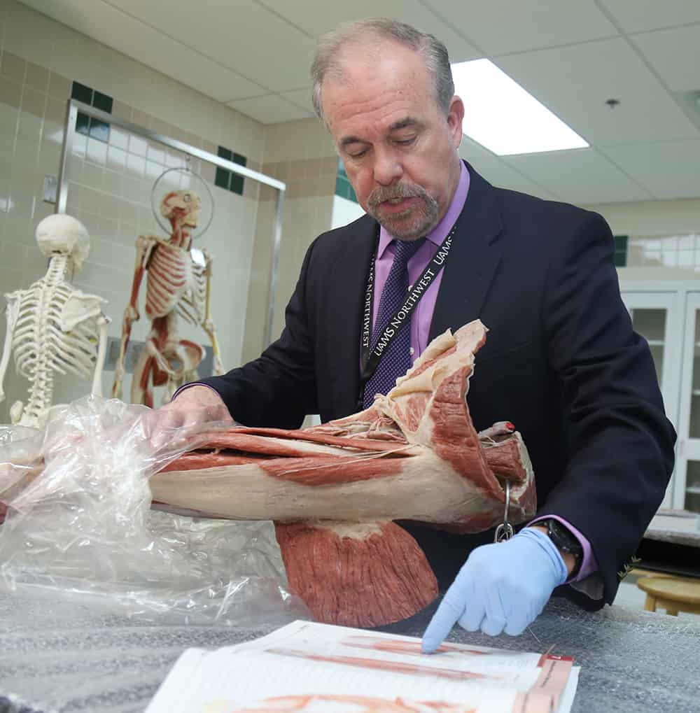 John Jefferson, Ph.D., P.T., chair and associate professor of the Department of Physical Therapy (PT) in the College of Health Professions, shows how a plasticized cadaver allows students to see in 3D what they see in 2D in their anatomy textbook.