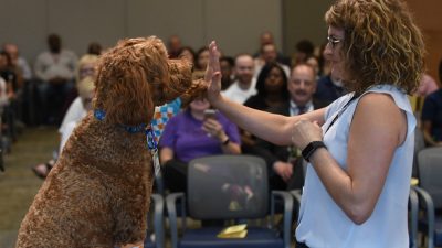 Dog and handler high-five before audience