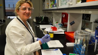 Dr. Ambrogini at lab bench