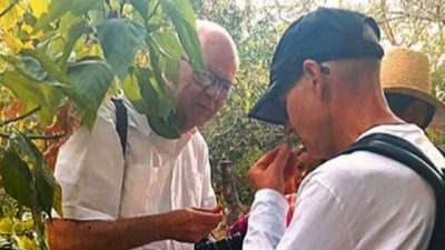 Cesar Compadre, left, and Dean Keith Olsen examine and discuss a medicinal plant growing in the Bolivian countryside.
