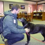 Molly the therapy dog is part of the Special Pets Offering Therapy (SPOT) program. She, and others dogs in the program, spent time in the Library during November and December to provide stress release for students and employees.