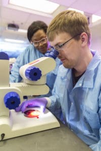 Seven programs, including Medical Laboratory Sciences, are included in the 2+2 partnership between UAMS and UA Little Rock.