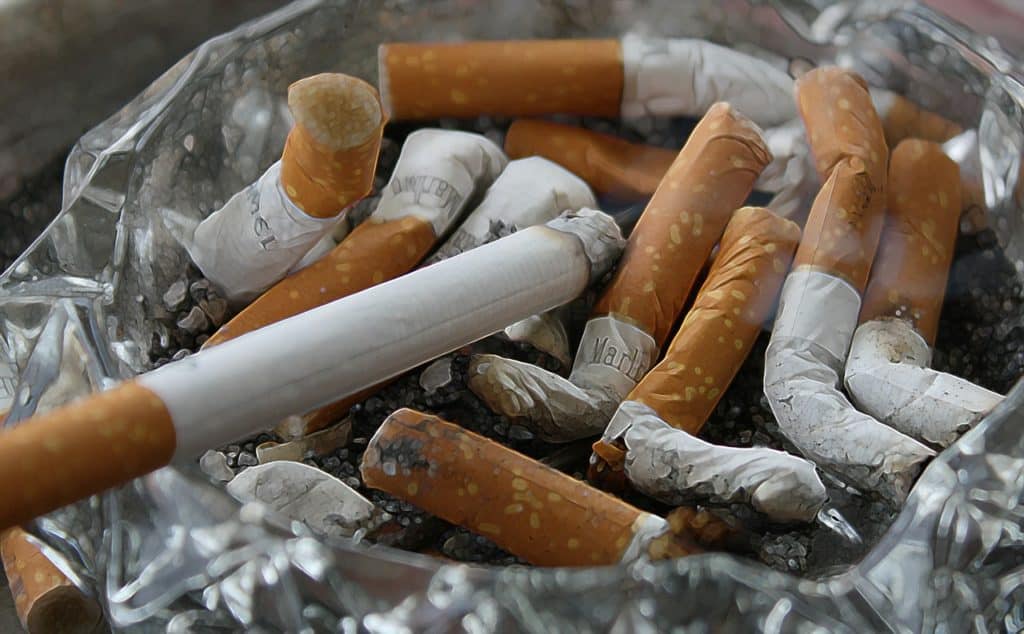 what is a tobacco leaf The tobacco plant, what are the best leaves?