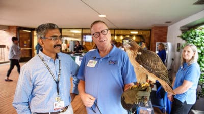 A Little Rock Zoo interpreter shows off a hawk at the UAMS celebration of Earth Day.