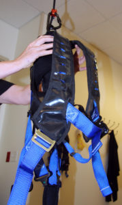 Solo-Step overhead harness, held in hands