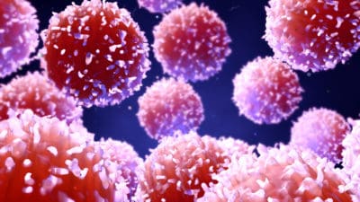 T cells