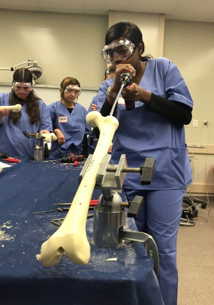 A student drills into the shaft of a femur bone.