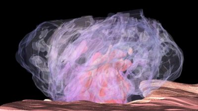 Art of mouse blood clot