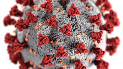 coronavirus placeholder image