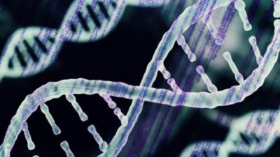 Awardees named for biomedical informatics research pilots.