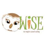 Windy WISE logo