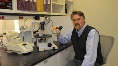 Donald J. Johann, M.D.