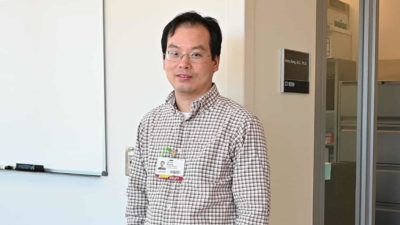 "Scientists have long understood there is a connection between bone size and strength related to physical activity," said Jinhu Xiong, Ph.D., an assistant professor in the Department of Orthopaedic Surgery in the UAMS College of Medicine.