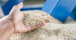 UAMS purchases rice products from Riceland Foods in Stuttgart.