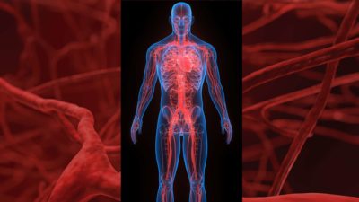 The University of Arkansas for Medical Sciences (UAMS) has launched a centralized Aortic Center on its Little Rock campus.