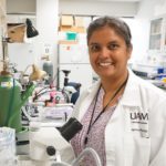 UAMS' Nirmala Parajuli, Ph.D., is studying a novel way to improve long-term kidney transplant survival.