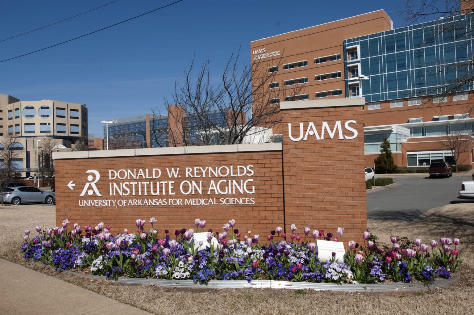 UAMS Thomas and Lyon Longevity Clinic Recognized as AgeFriendly Health