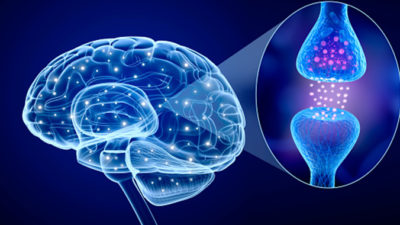What causes Parkinson's Disease?