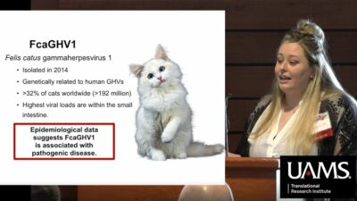 Shana Owens, Ph.D., presented her research during the UAMS Translational Research Institute's recent Research Day.