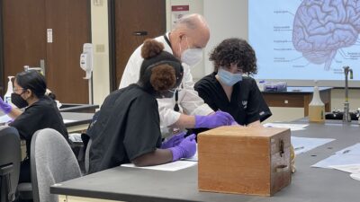 David Davies, professor in the UAMS College of Medicine’s Department of Neurobiology and Developmental Sciences, leads HEALERS program participants in a lesson on the structure and function of the brain.