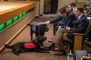 Smyth's dogs keep family members company during the service. Morris said they are a great comfort to him now.