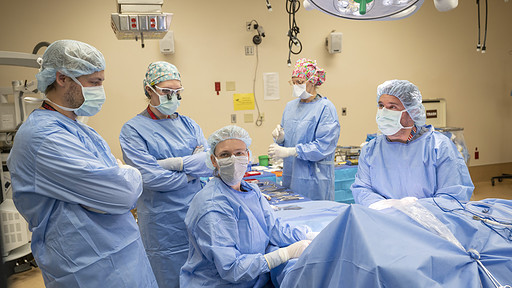 Erika Petersen, M.D., seated, pauses to look at a monitor as the surgery begins with (l-r) John Bracey, M.D., Brooke Elberson, M.D., Ph.D., Bridgette Vinyard-Hartwick, and Mark Tait, M.D. (photo by Evan Lewis)