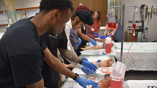 Students in the Pre-Nursing Summer Scholars program use manikin arms to practice blood-draw techniques.