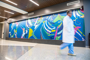 UAMS spine surgeon Wayne Bruffett, M.D., walks in front of the mural by medical student Alexa Pearce