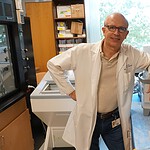 Roy Morello, Ph.D., in his lab at UAMS.
