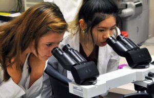 The MASH program is an important part of UAMS Regional Campuses’ effort to create a pipeline that connects young students with opportunities in the health professions. Here, two students are shown looking into microscopes during a MASH camp. 