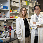 UAMS’ Maria Schuller Almeida, Ph.D. (left), and Ha-Neui (Hans) Kim, Ph.D., will use new funding from the National Institutes of Health to answer key questions about estrogen’s important role in preventing bone loss.