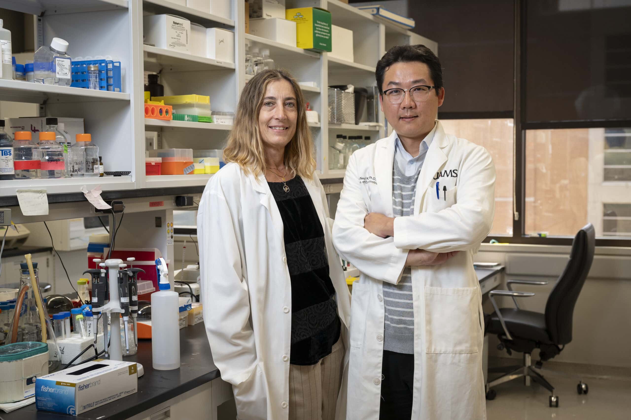 UAMS’ Maria Schuller Almeida, Ph.D. (left), and Ha-Neui (Hans) Kim, Ph.D., will use new funding from the National Institutes of Health to answer key questions about estrogen’s important role in preventing bone loss.