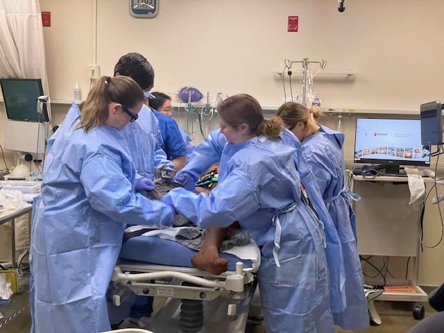 Interprofessional students assess a patient who was just wheeled in.