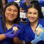 Two students holding up pig hearts