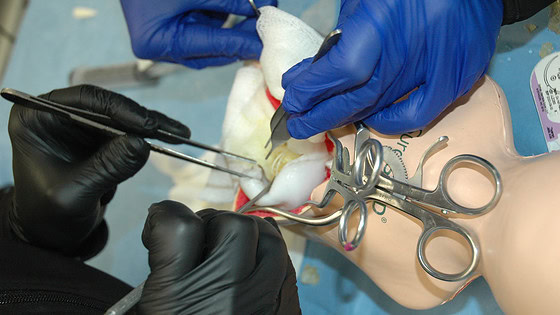 up-close photo of 2 pairs of gloved hands using instruments to perform a procedure on a pediatric synthetic cadaver.