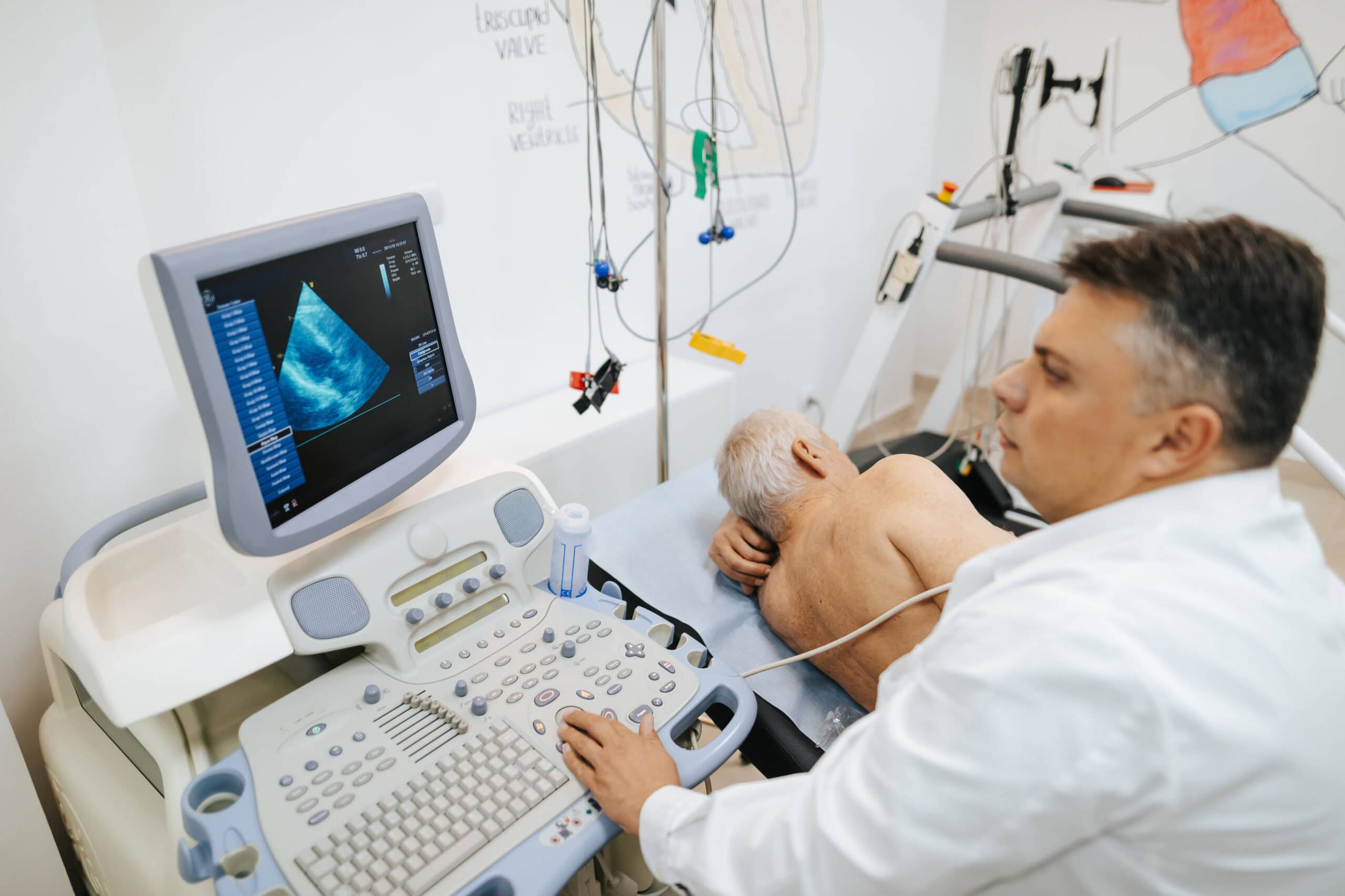 Stock image of a doctor viewing an echocardiogram image on a computer screen.