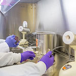 MLS Extended students get hands on training in affiliated hospitals while taking UAMS classes online, helping to fill positions in small and rural hospitals.