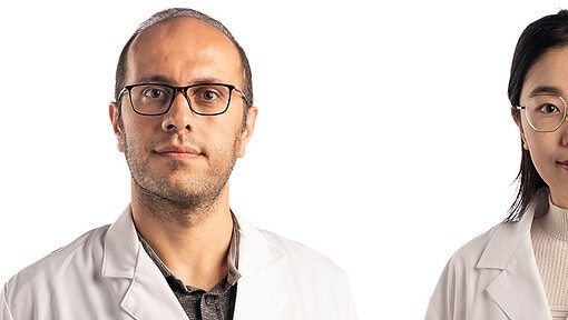 Majid Asgari, Yamin Meng