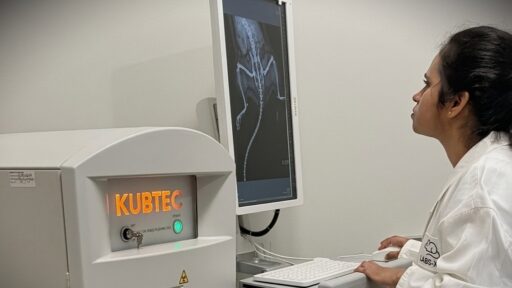 KUBTEC PARAMETER X ray System